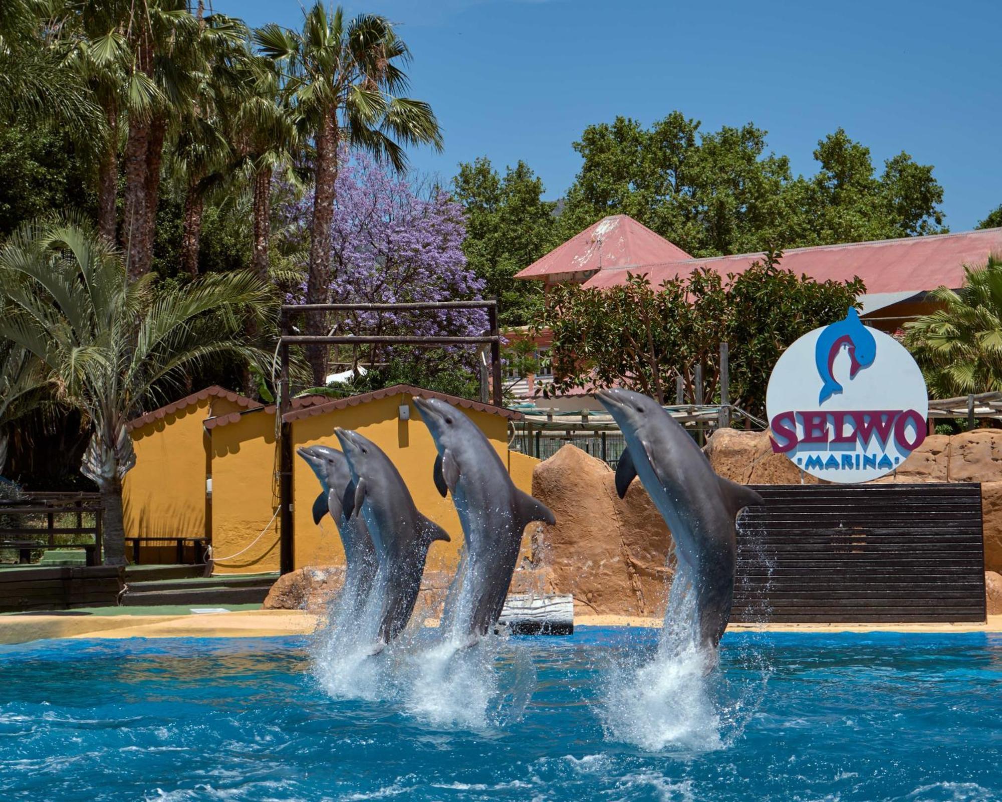 Apart With Swimming Pool Open All Year Benalmadena Exterior photo